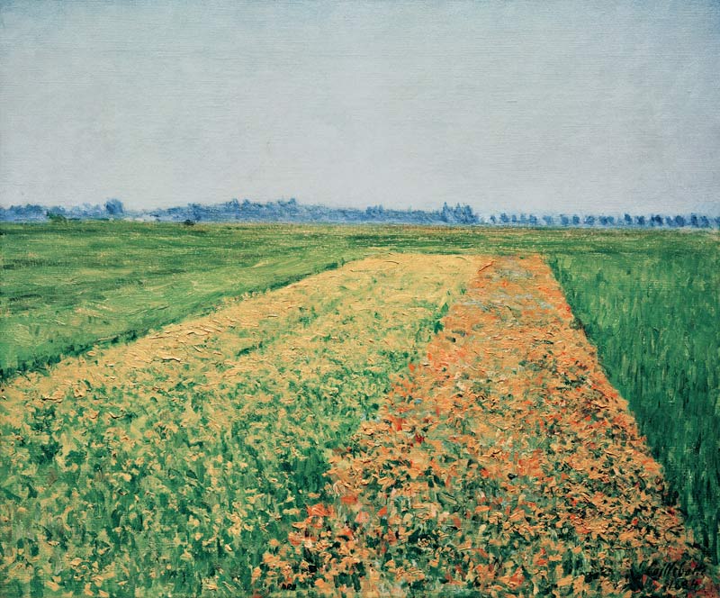 Fields at Gennevilliers od Gustave Caillebotte
