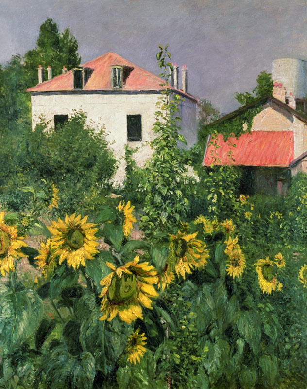 Sunflowers in the Garden at Petit Gennevilliers od Gustave Caillebotte