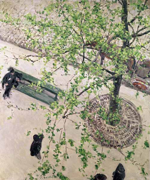 The Boulevard Viewed from Above od Gustave Caillebotte