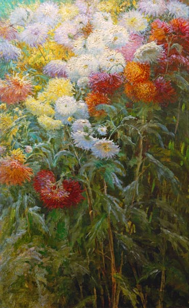 Chrysanthemums od Gustave Caillebotte