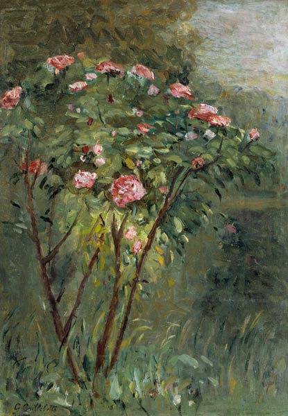 Le Rosier, c.1884-86. od Gustave Caillebotte
