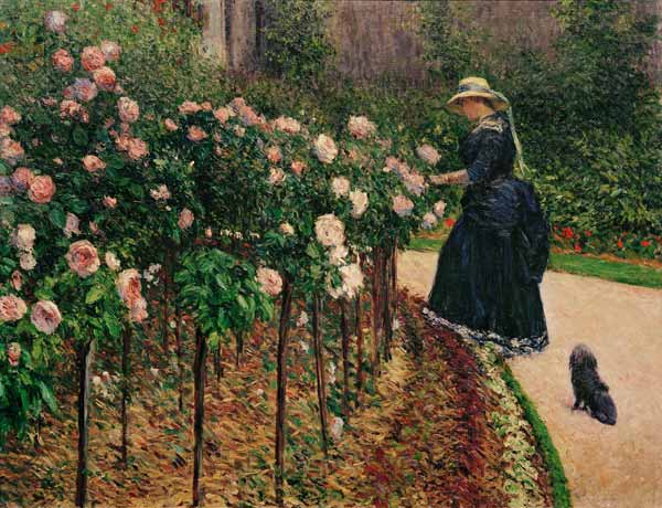 Roses in the Garden at Petit Gennevilliers od Gustave Caillebotte