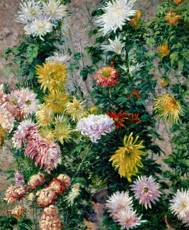 White and Yellow Chrysanthemums od Gustave Caillebotte