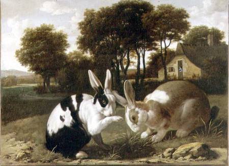 Two Rabbits in a Landscape od Haarlem School