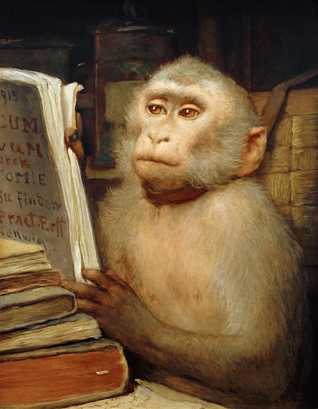 “Lesender Affe” od Haeckel Ernst