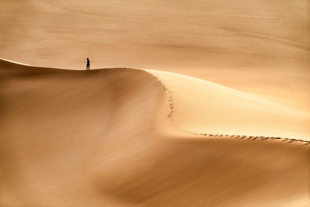 Man and the desert od Hamid Jamshidian
