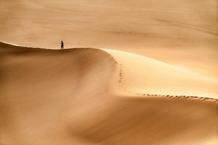 Man and the desert
