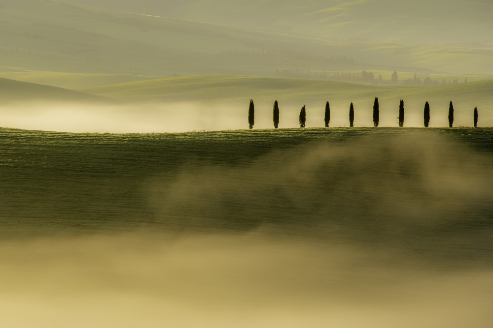 Misty od Hana Peskova