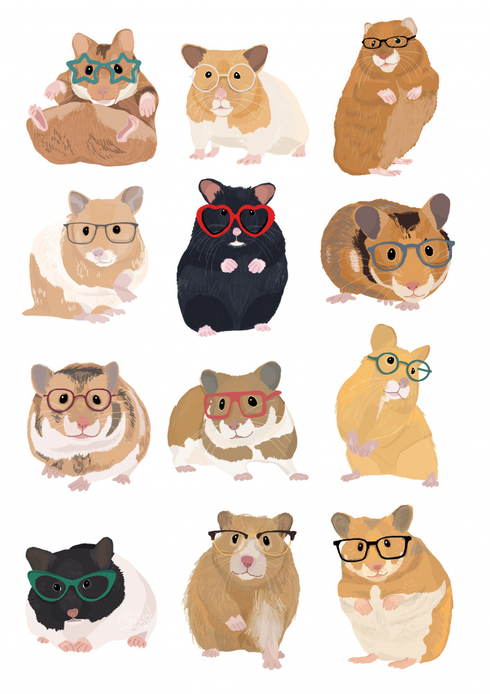 A1 Hamsters In Glasses od Hanna Melin
