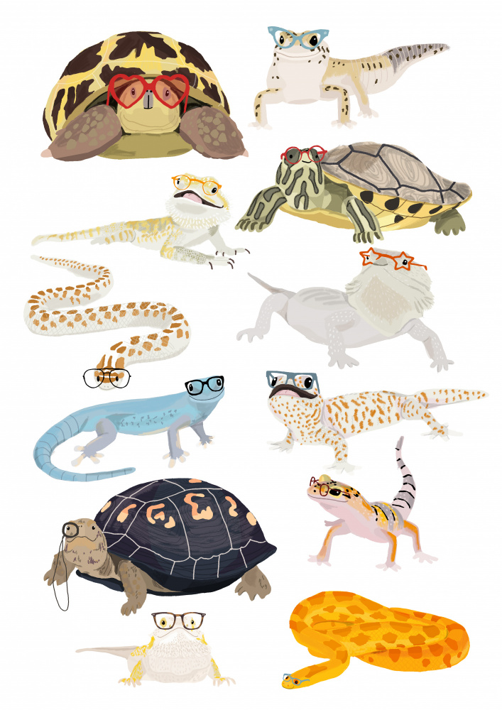 A1 Reptiles In Glasses od Hanna Melin