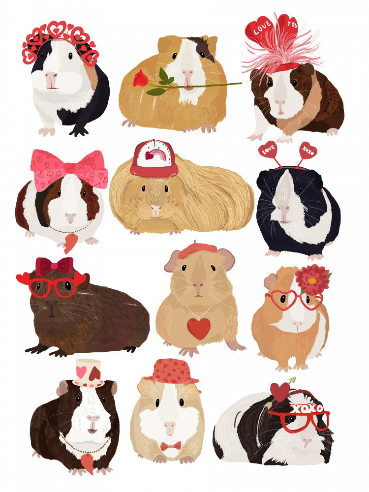Love Guinea Pigs od Hanna Melin