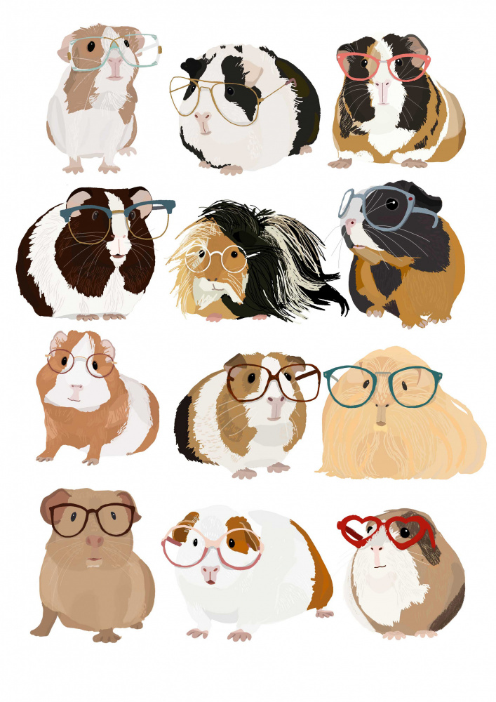 Guinea Pig in Glasses od Hanna Melin