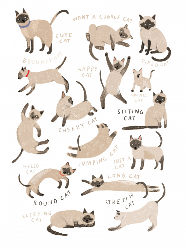 Siamese Cat Print od Hanna Melin