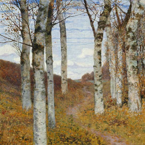 Birken im Herbst od Hans am Ende