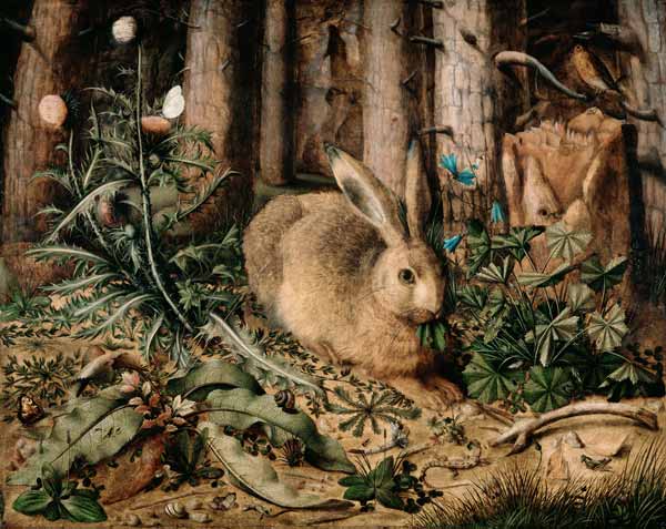 A Hare in the Forest od Hans Hoffmann