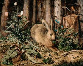 A Hare in the Forest
