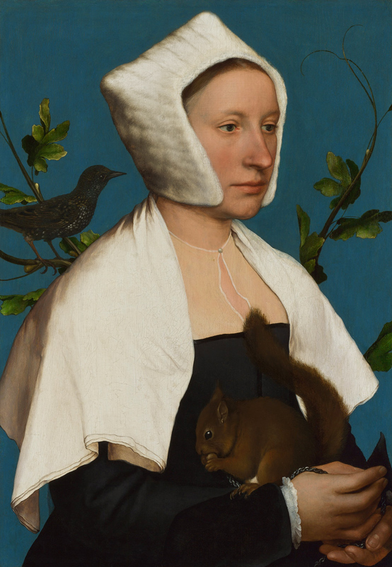 Lady with a Squirrel and a Starling od Hans Holbein d.J.