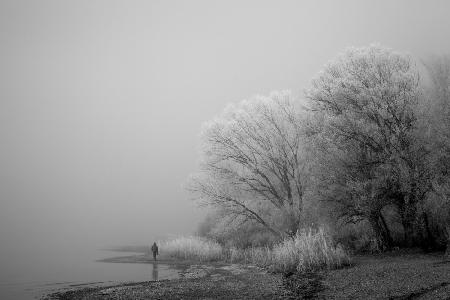 A foggy day at the lake