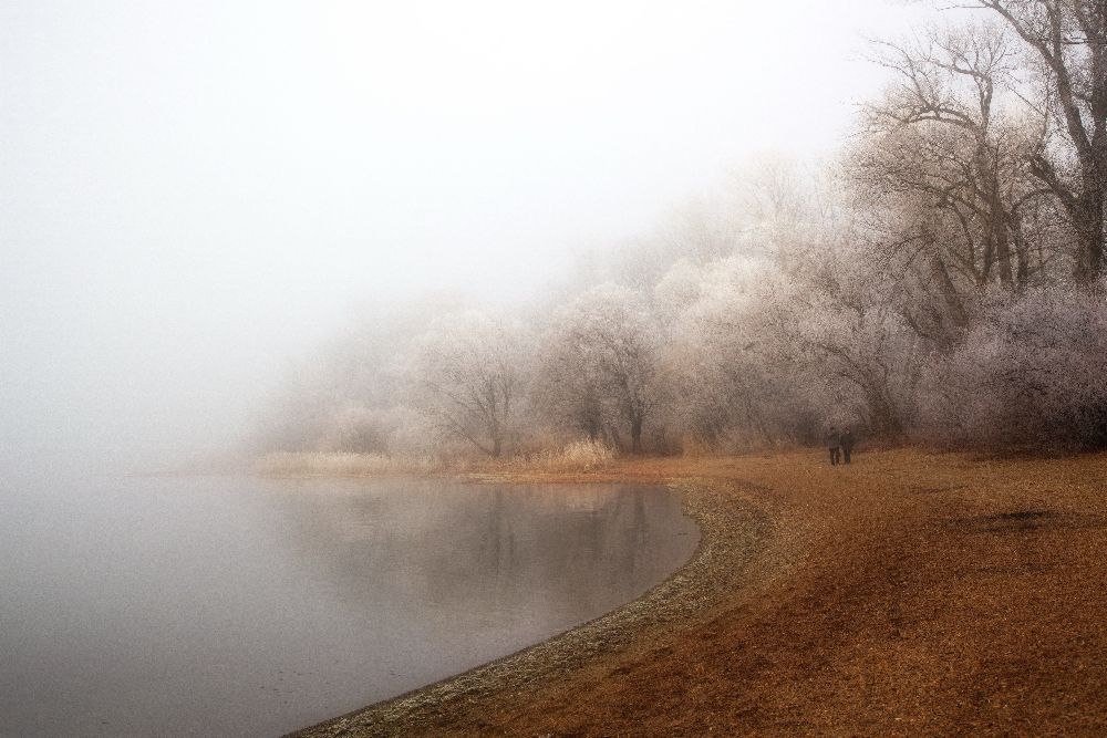 Fog and rime on the lake od Hans Peter Rank