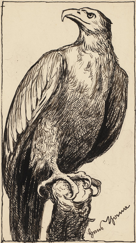 Zeichnung zur Fibel: Adler od Hans Thoma