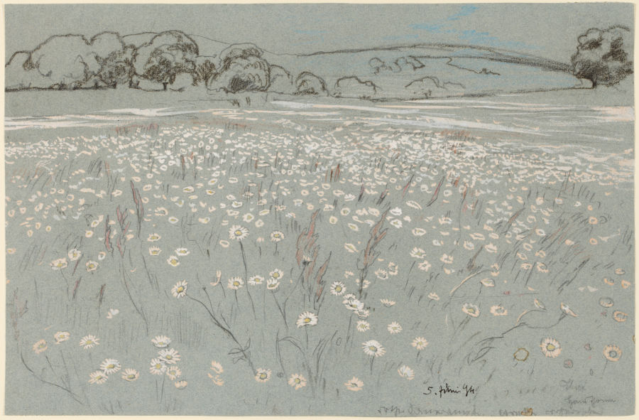 Meadow with Daisys od Hans Thoma