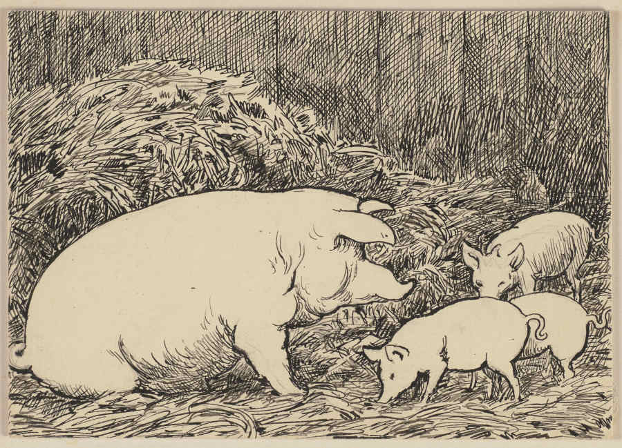 Zeichnung zur Fibel: Schwein od Hans Thoma