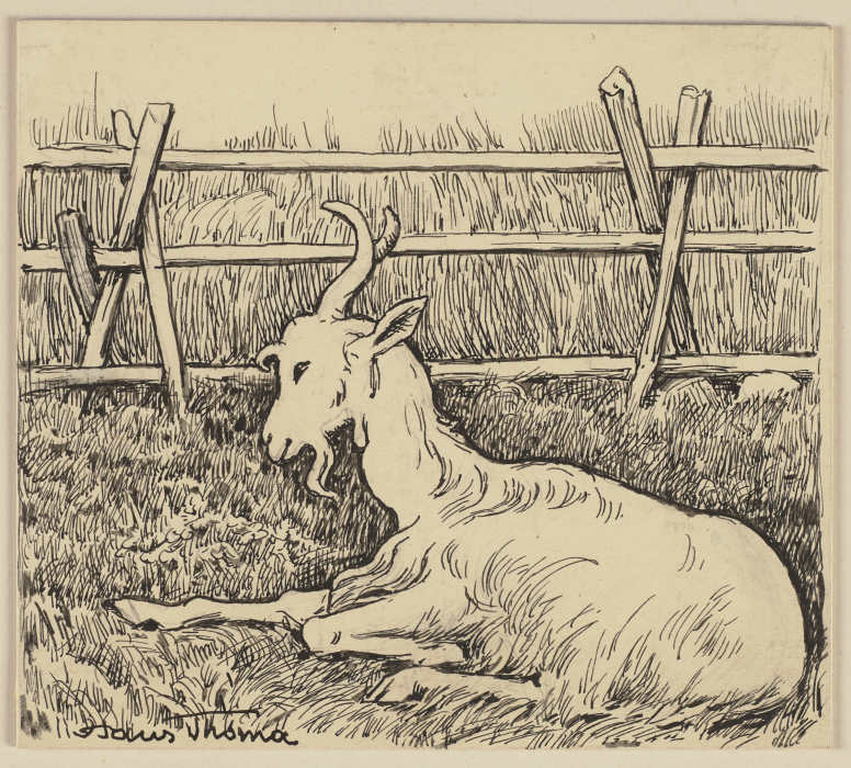 Zeichnung zur Fibel: Ziege od Hans Thoma