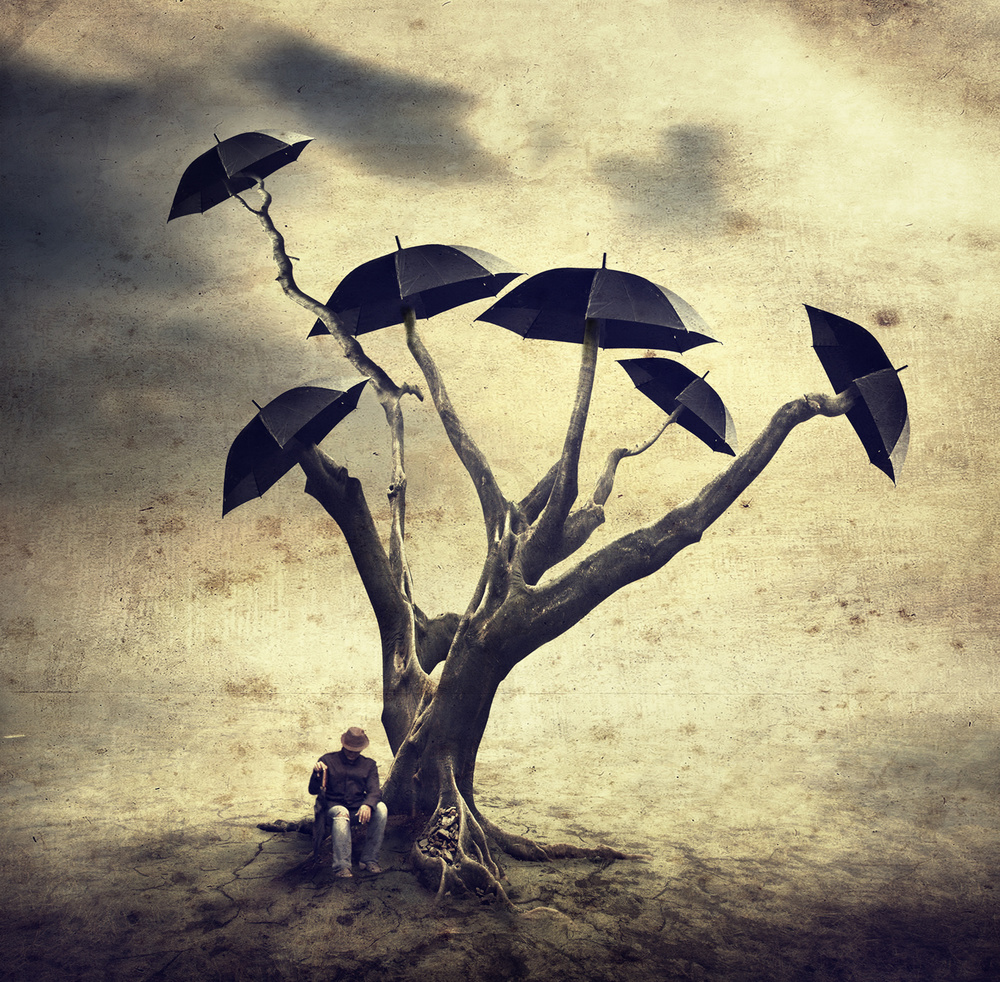 Waiting man and the umbrella tree od Hari Sulistiawan