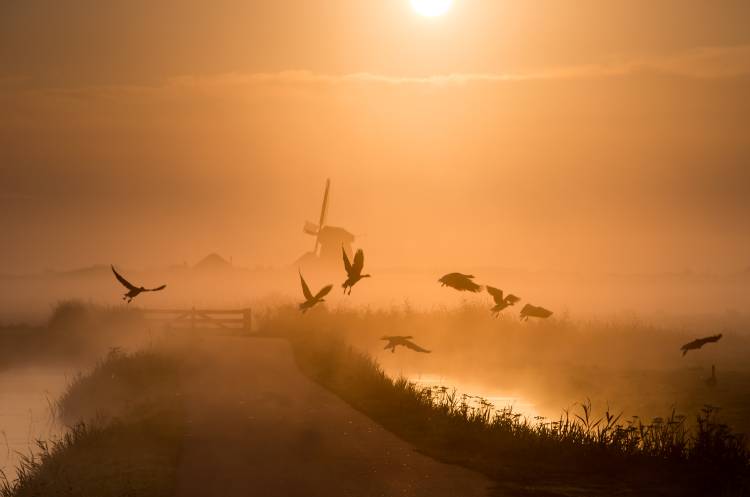 Sunrise Flight od Harm Klaverdijk