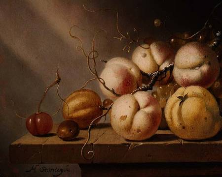 Still life of fruit on a ledge (panel) od Harmen van Steenwijck