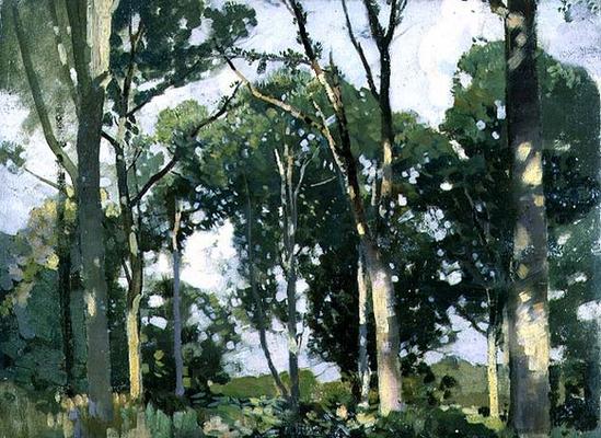 Trees in sunlight (panel) od Harry Watson