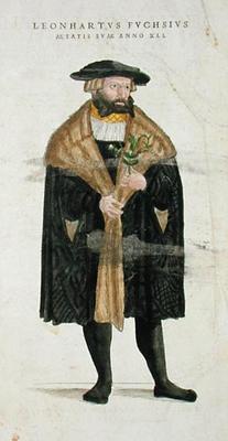 Portrait of of the author age 41, from 'De Historia Stirpium Commentarii Insignes', by Leonard Fuchs
