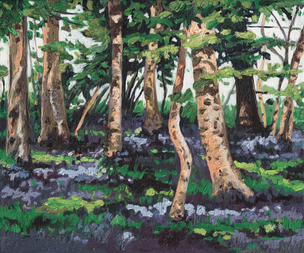 Bluebell Wood od Helen White