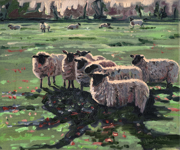 Curious Flock I od Helen White