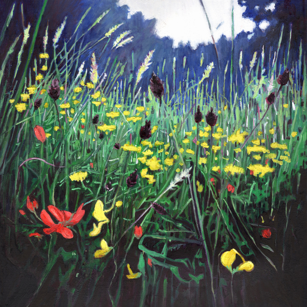 Meadow glory od Helen White