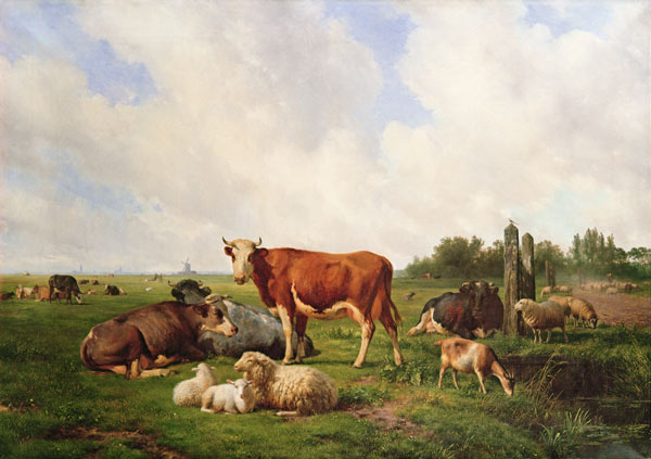 Sheep and Cattle in a Field od Hendrick van de Sande Bakhuyzen
