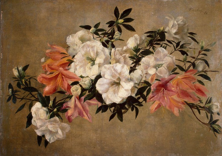 Petunias od Henri Fantin-Latour
