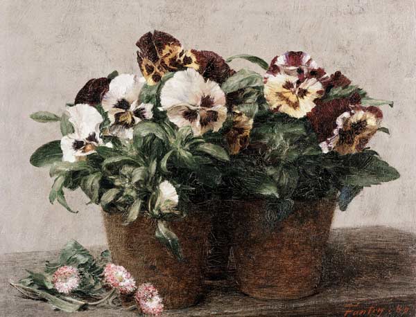 Still Life of Pansies and Daisies od Henri Fantin-Latour