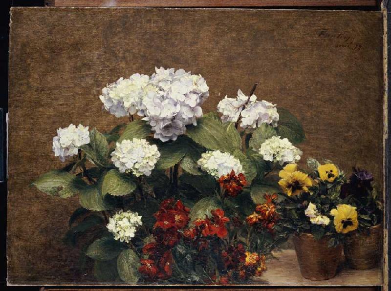 Quiet life with Hortensien and pansy od Henri Fantin-Latour