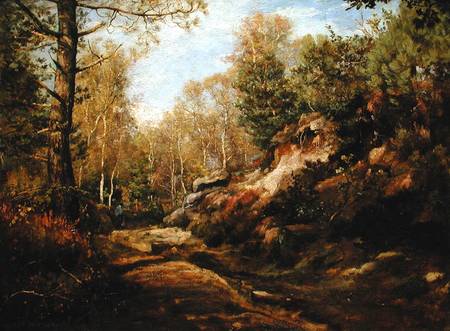 Pines and Birch Trees or, The Forest of Fontainebleau od Henri Joseph Constant Dutilleux