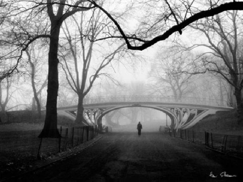 Gothic Bridge, Central Park NYC od Henri Silberman