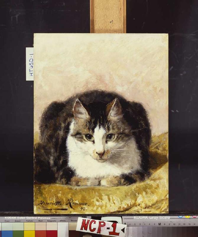 Brave Katze od Henrietta Ronner-Knip