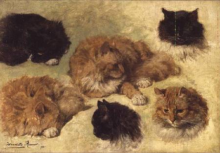 Studies of Cats od Henrietta Ronner-Knip