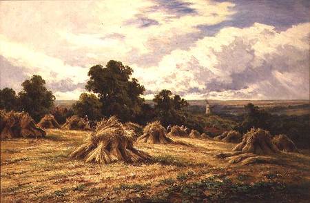 Harvested Field od Henry Parker