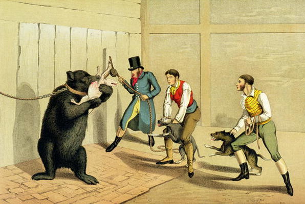 'Bear Baiting', pub. by Thomas McLean, 1820, (sporting print) od Henry Thomas Alken
