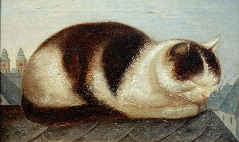 Katze od Hermann Anschütz