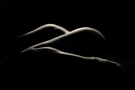 Bodyscape : I See Z