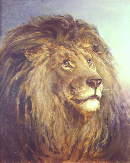 A Lion's Head od Heywood Hardy