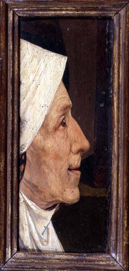 Head of an Old Woman od Hieronymus Bosch