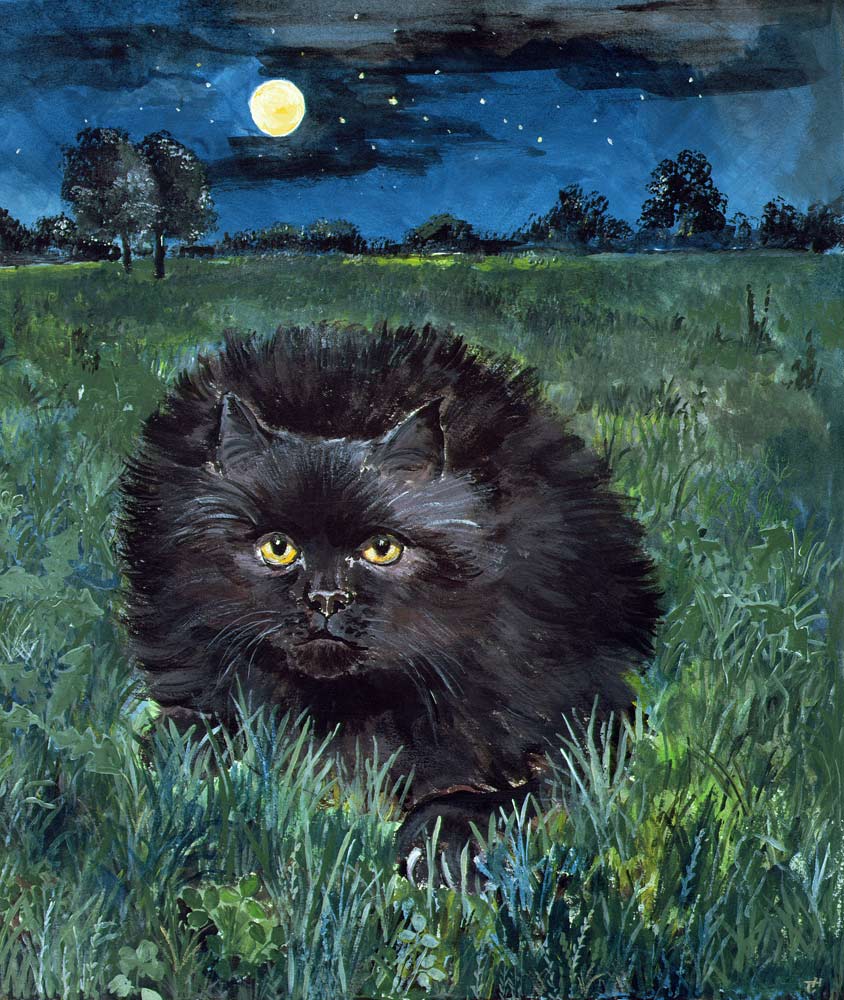 The Cat and the Moon (acrylic on paper)  od Hilary  Jones